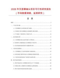 2026年叉型裸端頭項(xiàng)目可行性研究報(bào)告（市場(chǎng)數(shù)據(jù)調(diào)查、監(jiān)測(cè)研究）