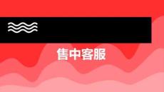 網店客服服務與管理：售中客服PPT教學課件