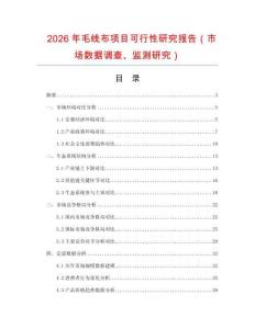 2026年毛線布項目可行性研究報告（市場數(shù)據(jù)調(diào)查、監(jiān)測研究）