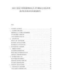 2025-2030中國智能物流無人叉車搬運行業技術需求評估及商業布局規劃報告