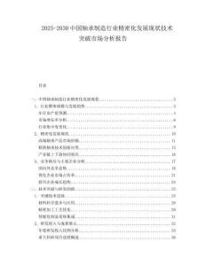 2025-2030中國軸承制造行業精密化發展現狀技術突破市場分析報告