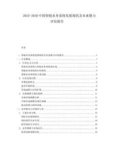 2025-2030中國(guó)智能水務(wù)系統(tǒng)發(fā)展現(xiàn)狀及未來潛力評(píng)估報(bào)告