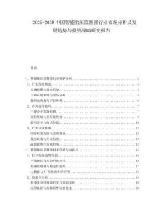 2025-2030中國智能胎壓監測器行業市場分析及發展趨勢與投資戰略研究報告