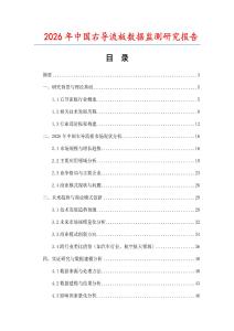 2026年中國右導流板數據監測研究報告