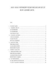 2025-2030中國(guó)智能修車(chē)設(shè)備市場(chǎng)全面分析及汽車(chē)保養(yǎng)與發(fā)展?jié)摿ρ芯?><span id=