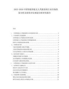 2025-2030中國智能智能無人駕駛系統行業市場供需分析及投資評估規劃分析研究報告