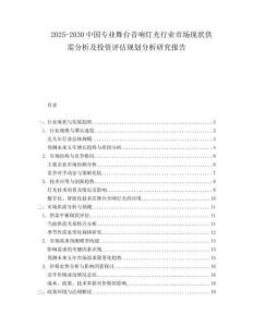 2025-2030中國專業舞臺音響燈光行業市場現狀供需分析及投資評估規劃分析研究報告