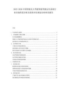 2025-2030中國智能無人駕駛智能駕駛定位系統行業市場供需分析及投資評估規劃分析研究報告