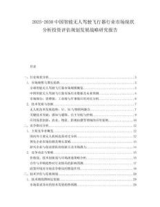 2025-2030中國智能無人駕駛飛行器行業市場現狀分析投資評估規劃發展戰略研究報告