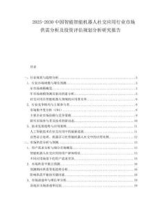 2025-2030中國智能智能機器人社交應用行業市場供需分析及投資評估規劃分析研究報告