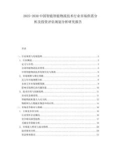 2025-2030中國(guó)智能智能物流技術(shù)行業(yè)市場(chǎng)供需分析及投資評(píng)估規(guī)劃分析研究報(bào)告