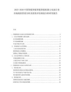 2025-2030中國(guó)智能智能智能智能機(jī)器人電池行業(yè)市場(chǎng)現(xiàn)狀供需分析及投資評(píng)估規(guī)劃分析研究報(bào)告