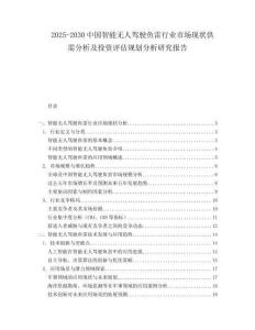 2025-2030中國智能無人駕駛魚雷行業市場現狀供需分析及投資評估規劃分析研究報告
