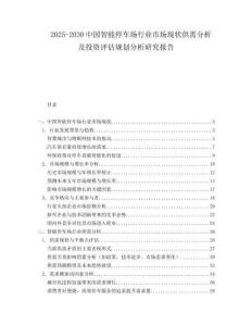 2025-2030中國智能停車場行業市場現狀供需分析及投資評估規劃分析研究報告