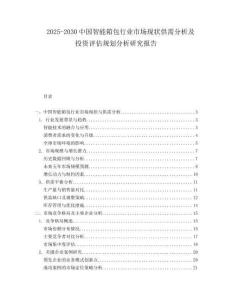 2025-2030中國智能箱包行業市場現狀供需分析及投資評估規劃分析研究報告