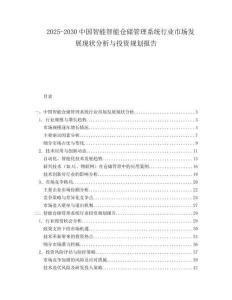 2025-2030中國智能智能倉儲管理系統行業市場發展現狀分析與投資規劃報告