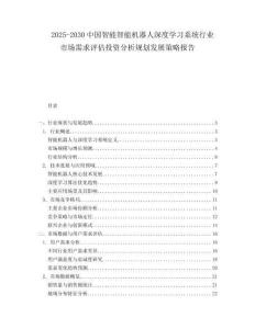 2025-2030中國智能智能機器人深度學習系統行業市場需求評估投資分析規劃發展策略報告