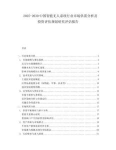 2025-2030中國智能無人系統行業市場供需分析及投資評估規劃研究評估報告