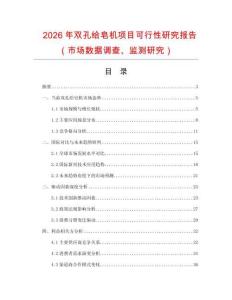 2026年雙孔給皂機項目可行性研究報告（市場數據調查、監測研究）