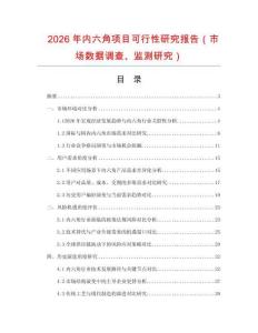 2026年內(nèi)六角項目可行性研究報告（市場數(shù)據(jù)調(diào)查、監(jiān)測研究）