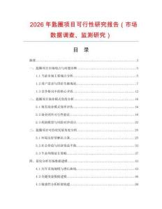 2026年匙圈項目可行性研究報告（市場數(shù)據(jù)調查、監(jiān)測研究）
