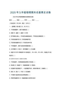 2025年九年級(jí)物理期末名垂青史試卷