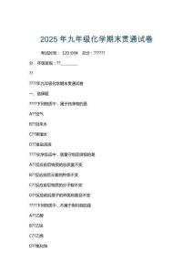 2025年九年級化學(xué)期末貫通試卷