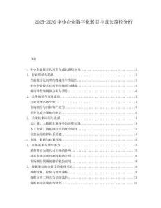2025-2030中小企業(yè)數(shù)字化轉(zhuǎn)型與成長(zhǎng)路徑分析