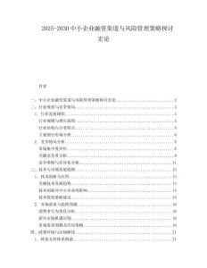 2025-2030中小企業融資渠道與風險管理策略探討宏論
