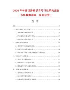 2026年體育館排椅項目可行性研究報告（市場數(shù)據(jù)調(diào)查、監(jiān)測研究）