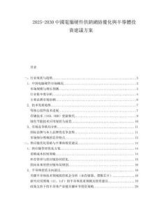 2025-2030中國電腦硬件供銷網(wǎng)絡(luò)優(yōu)化與半導(dǎo)體投資建議方案