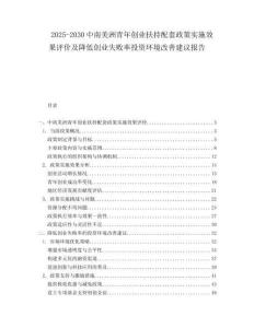 2025-2030中南美洲青年創(chuàng)業(yè)扶持配套政策實(shí)施效果評價及降低創(chuàng)業(yè)失敗率投資環(huán)境改善建議報告
