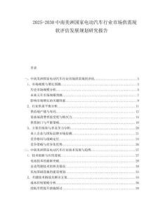 2025-2030中南美洲國家電動汽車行業市場供需現狀評估發展規劃研究報告