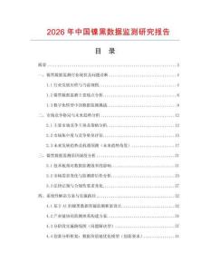 2026年中國鎳黑數(shù)據(jù)監(jiān)測研究報(bào)告