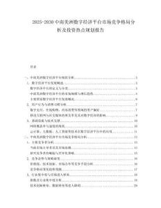 2025-2030中南美洲數(shù)字經(jīng)濟(jì)平臺市場競爭格局分析及投資熱點規(guī)劃報告