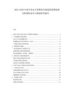 2025-2030中南半島電子消費品市場現狀消費趨勢分析國際競爭力規劃研究報告