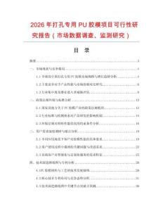 2026年打孔專用PU膠模項目可行性研究報告（市場數據調查、監測研究）