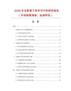 2026年五聯(lián)滾子項(xiàng)目可行性研究報(bào)告（市場(chǎng)數(shù)據(jù)調(diào)查、監(jiān)測(cè)研究）