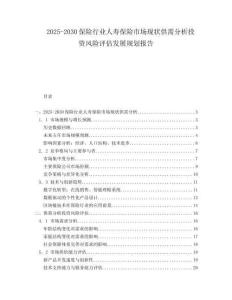 2025-2030保險行業人壽保險市場現狀供需分析投資風險評估發展規劃報告