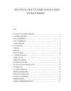 2025-2030電子商務平臺市場潛力分析及行業趨勢與資本運作規劃報告
