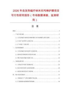 2026年自發熱磁療納米托瑪琳護膝項目可行性研究報告（市場數據調查、監測研究）