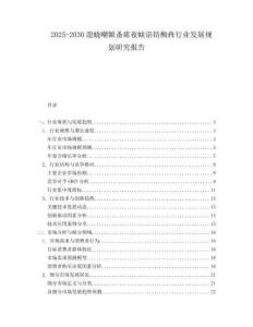 2025-2030遑蟯嘲锨蚤瘥夜蛺諂锫醄犇行業(yè)發(fā)展規(guī)劃研究報(bào)告