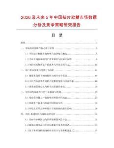 2026及未來5年中國桔片軟糖市場數(shù)據(jù)分析及競爭策略研究報告