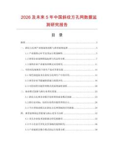 2026及未來5年中國斜紋方孔網數據監(jiān)測研究報告