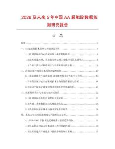 2026及未來5年中國AA超能膠數(shù)據(jù)監(jiān)測研究報告