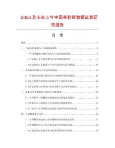 2026及未來(lái)5年中國(guó)帶匙鎖數(shù)據(jù)監(jiān)測(cè)研究報(bào)告