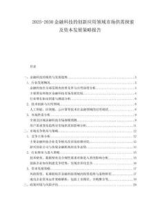 2025-2030金融科技的創(chuàng)新應用領域市場供需探索及資本發(fā)展策略報告