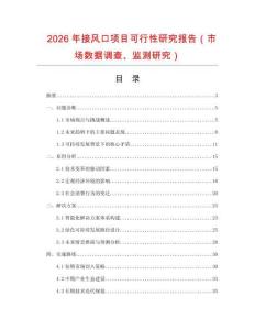 2026年接風口項目可行性研究報告（市場數據調查、監(jiān)測研究）