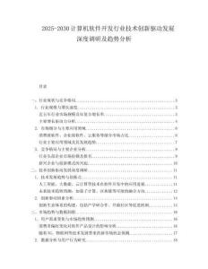 2025-2030計(jì)算機(jī)軟件開發(fā)行業(yè)技術(shù)創(chuàng)新驅(qū)動(dòng)發(fā)展深度調(diào)研及趨勢(shì)分析