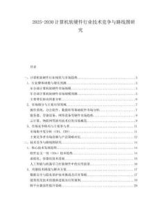 2025-2030計算機軟硬件行業技術競爭與路線圖研究